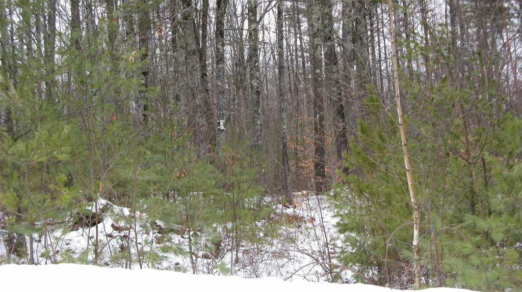48 Chamberlin Way New Durham NH 03855