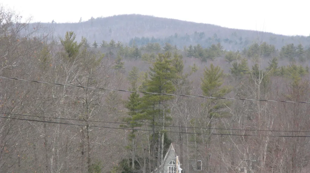 48 Chamberlin Way New Durham NH 03855