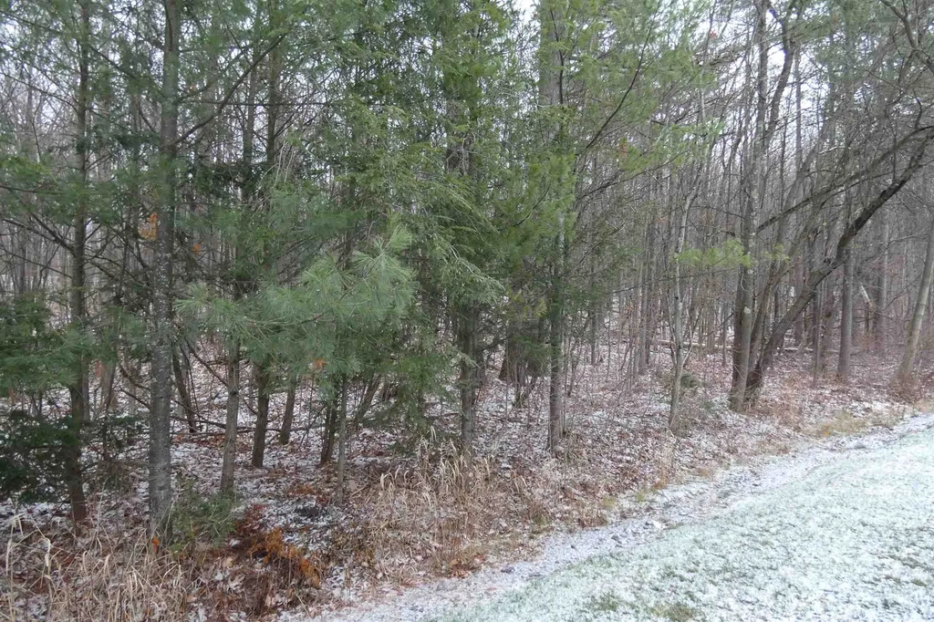 33 Evergreen Lane Middlebury VT 05753