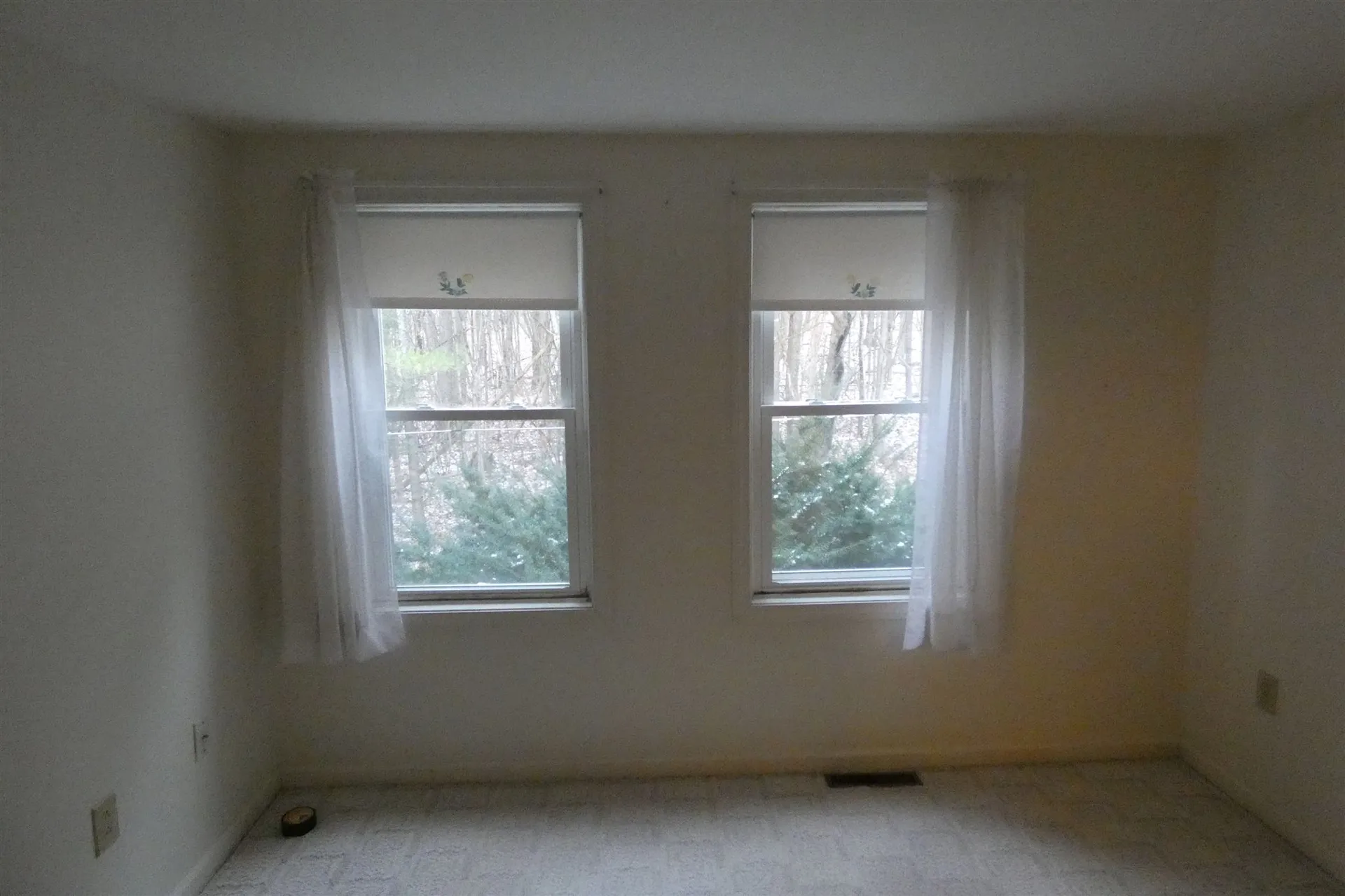 33 Evergreen Lane Middlebury VT 05753