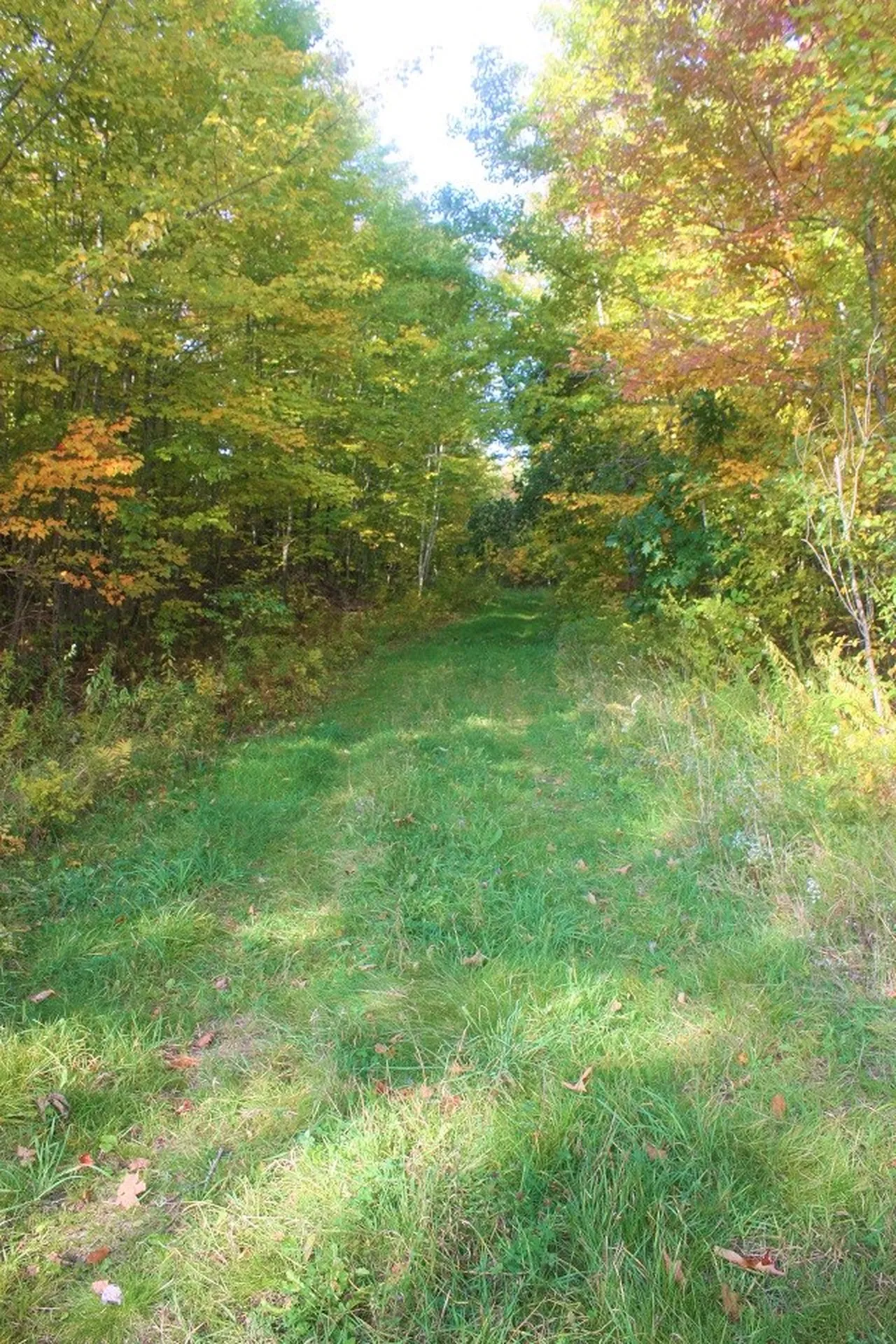 0 George Hill & Bog Road Enfield NH 03748