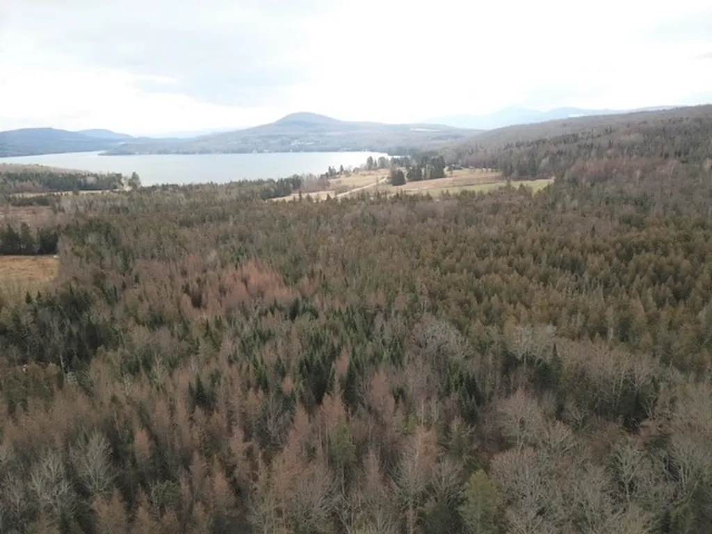 0 Sunset Drive Morgan VT 05853
