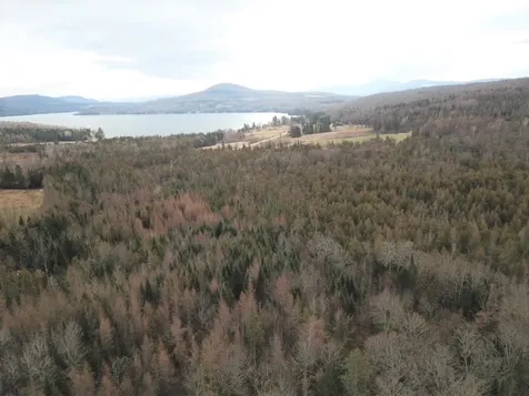 0 Sunset Drive Morgan VT 05853