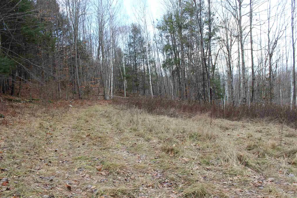 679 Liddle Drive Ryegate VT 05042