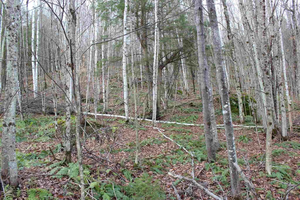 679 Liddle Drive Ryegate VT 05042