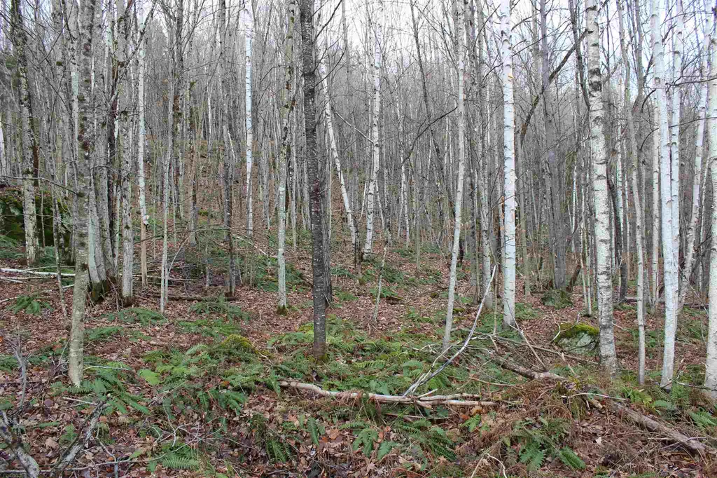 679 Liddle Drive Ryegate VT 05042