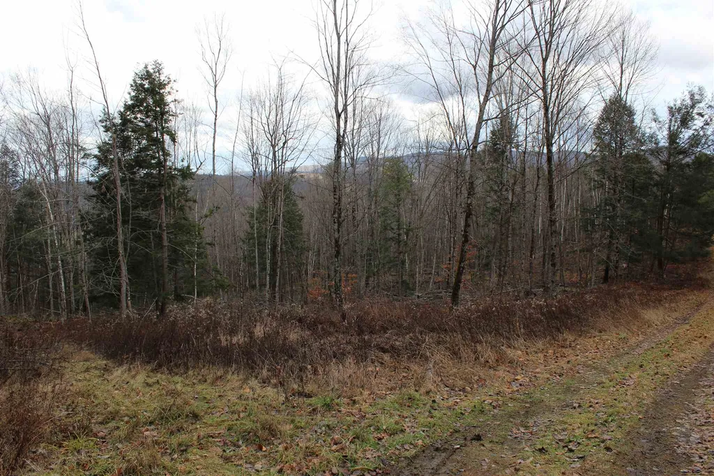 679 Liddle Drive Ryegate VT 05042