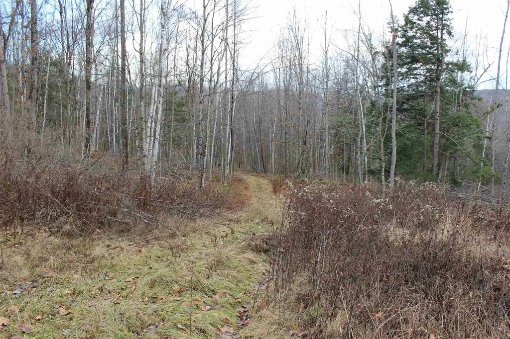 679 Liddle Drive Ryegate VT 05042