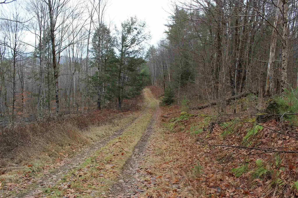 679 Liddle Drive Ryegate VT 05042