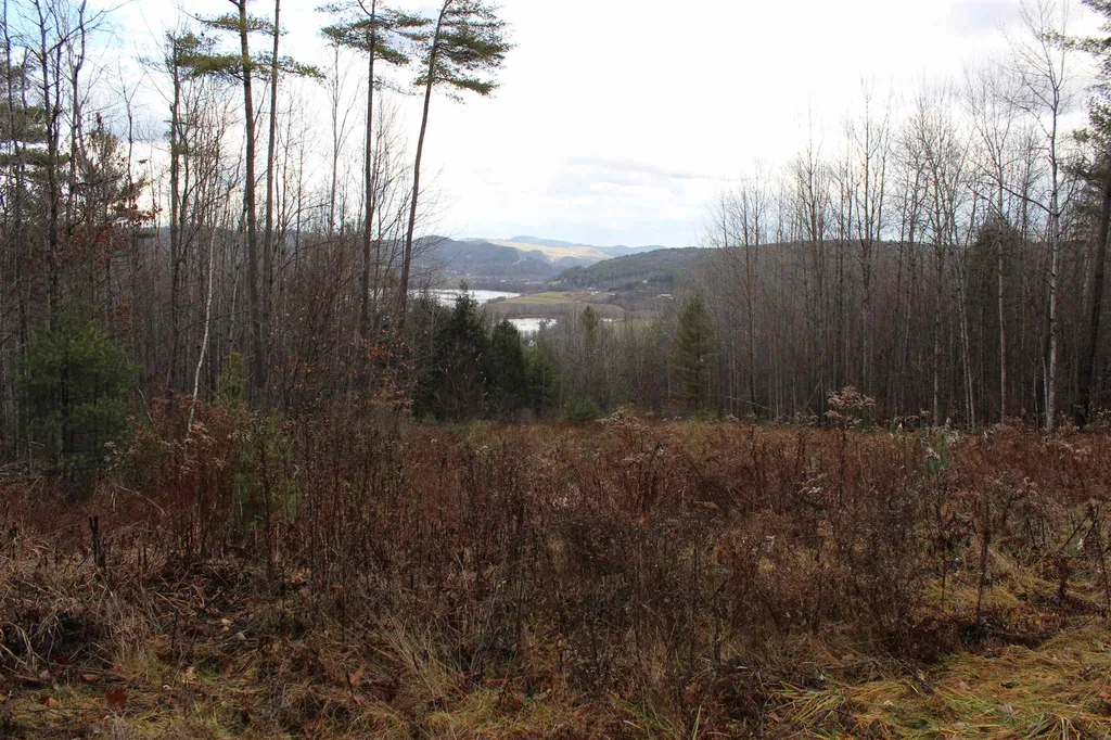679 Liddle Drive Ryegate VT 05042