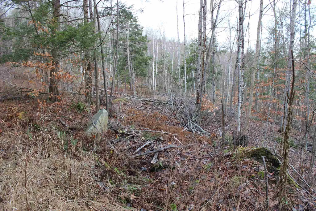679 Liddle Drive Ryegate VT 05042