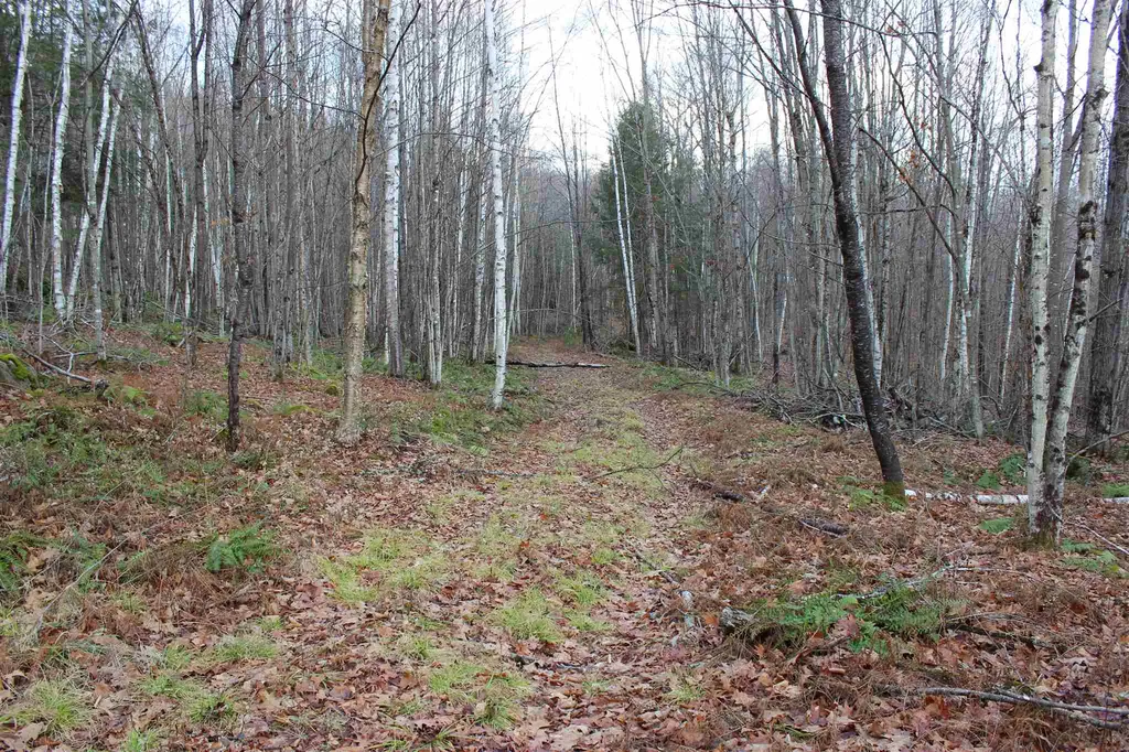 679 Liddle Drive Ryegate VT 05042