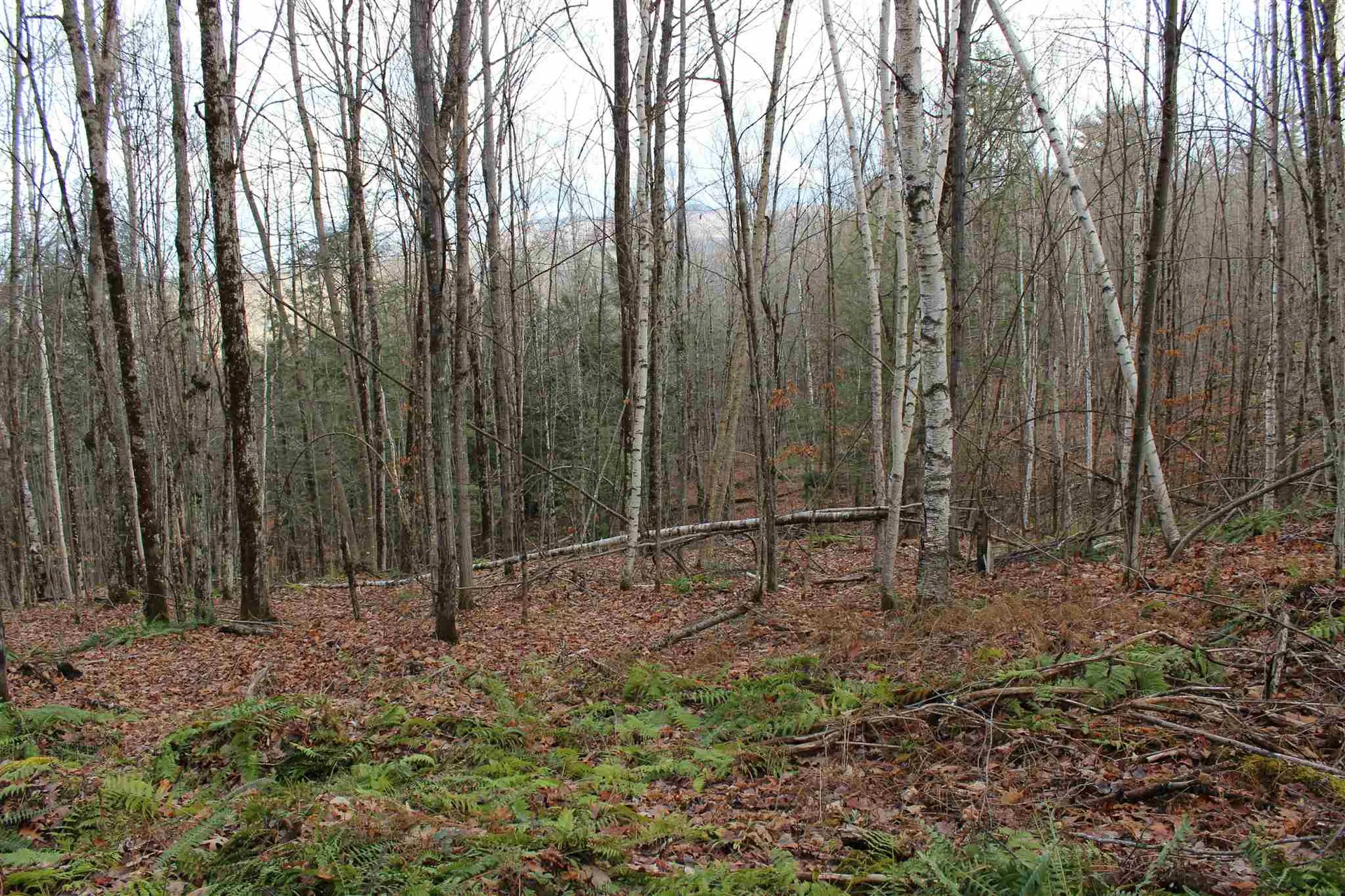 679 Liddle Drive Ryegate VT 05042