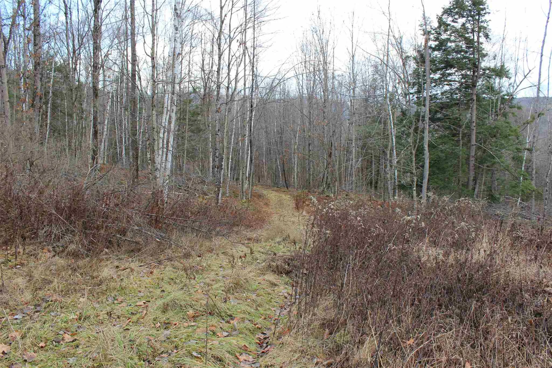 679 Liddle Drive Ryegate VT 05042