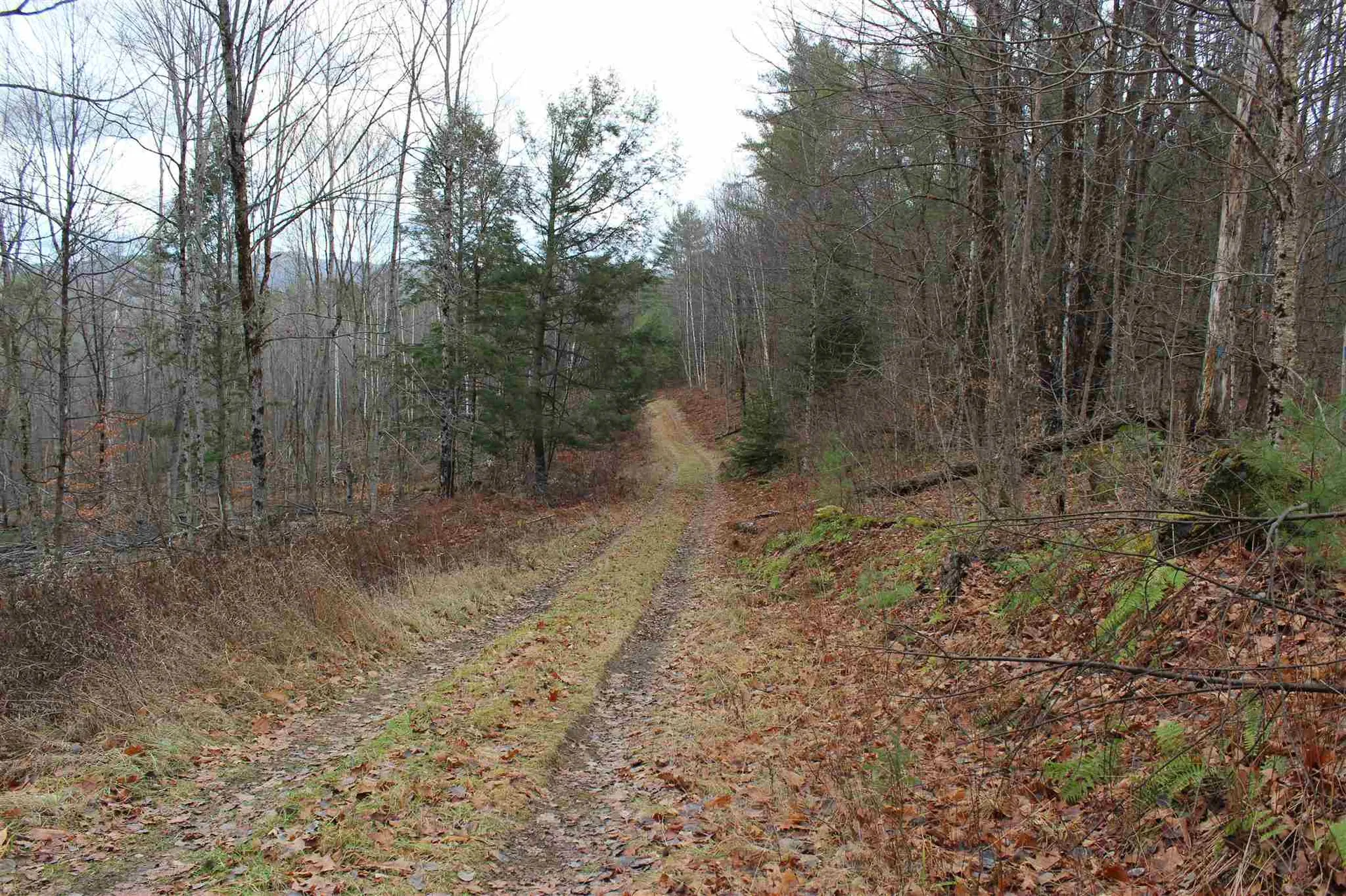 679 Liddle Drive Ryegate VT 05042