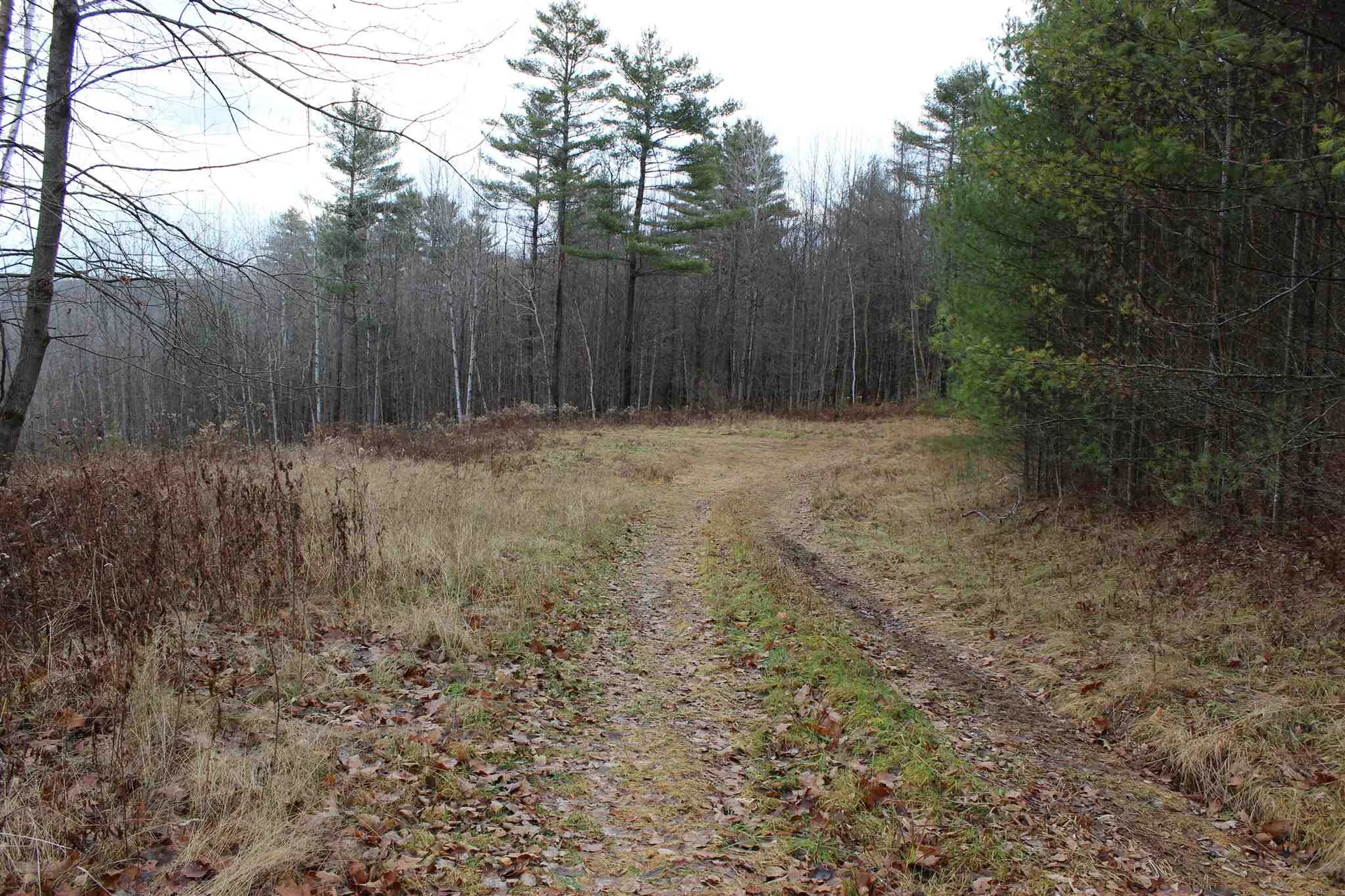 679 Liddle Drive Ryegate VT 05042