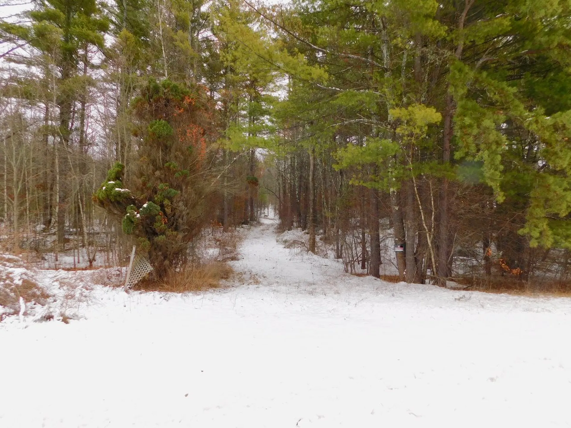 237 Route 13 Brookline NH 03033