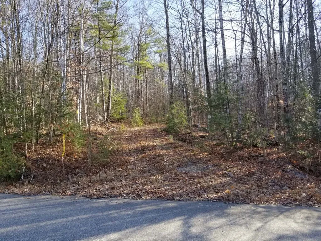 Butternut Ridge Road Hebron NH 03241