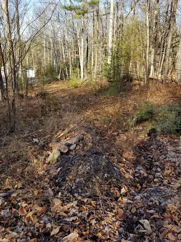 Butternut Ridge Road Hebron NH 03241