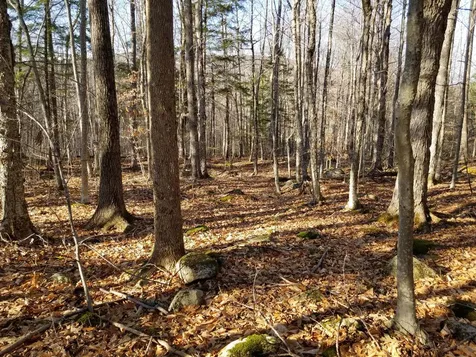 Butternut Ridge Road Hebron NH 03241
