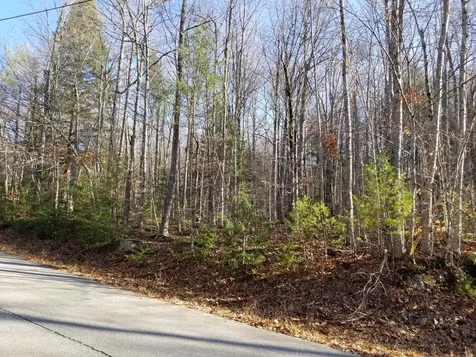 Butternut Ridge Road Hebron NH 03241