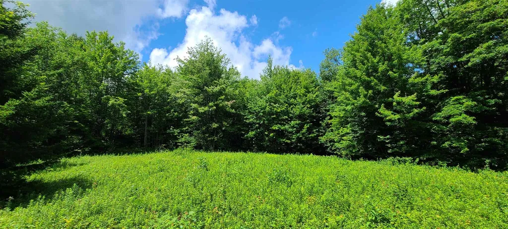 0 Ross Road Winhall VT 05340