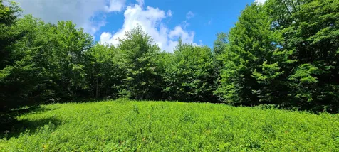 0 Ross Road Winhall VT 05340