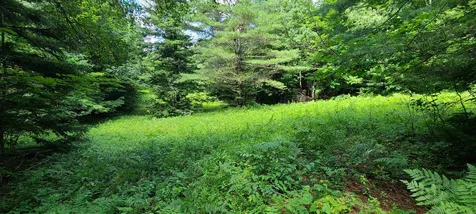 0 Ross Road Winhall VT 05340