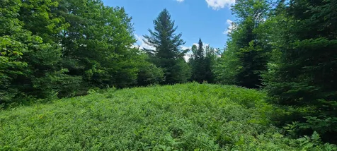 0 Ross Road Winhall VT 05340
