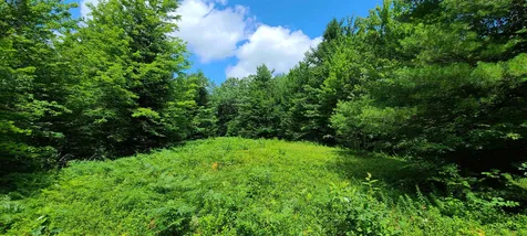 0 Ross Road Winhall VT 05340