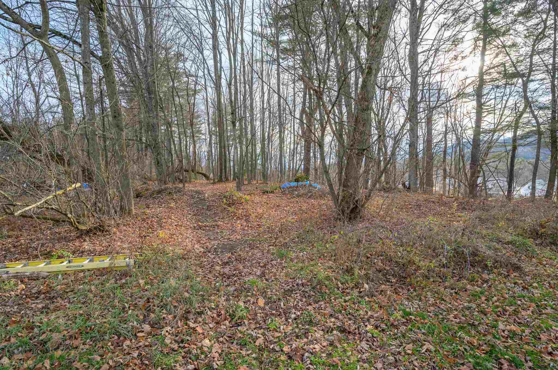 106 Plains Road Monroe NH 03771