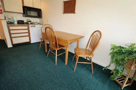 160 Deer Park Drive Woodstock NH 03262
