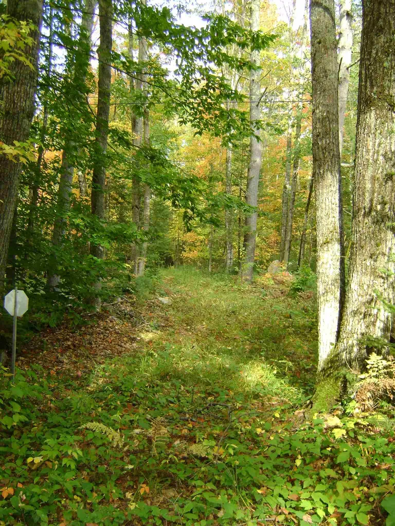 00 Oberdorf Street Moultonborough NH 03254