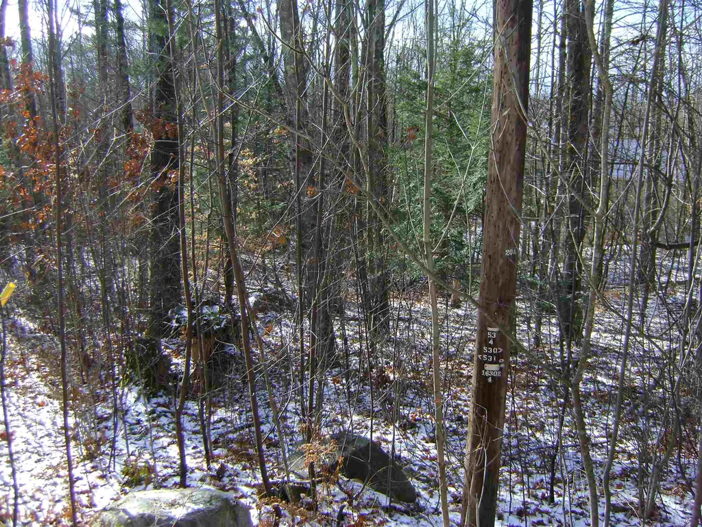 00 Oberdorf Street Moultonborough NH 03254