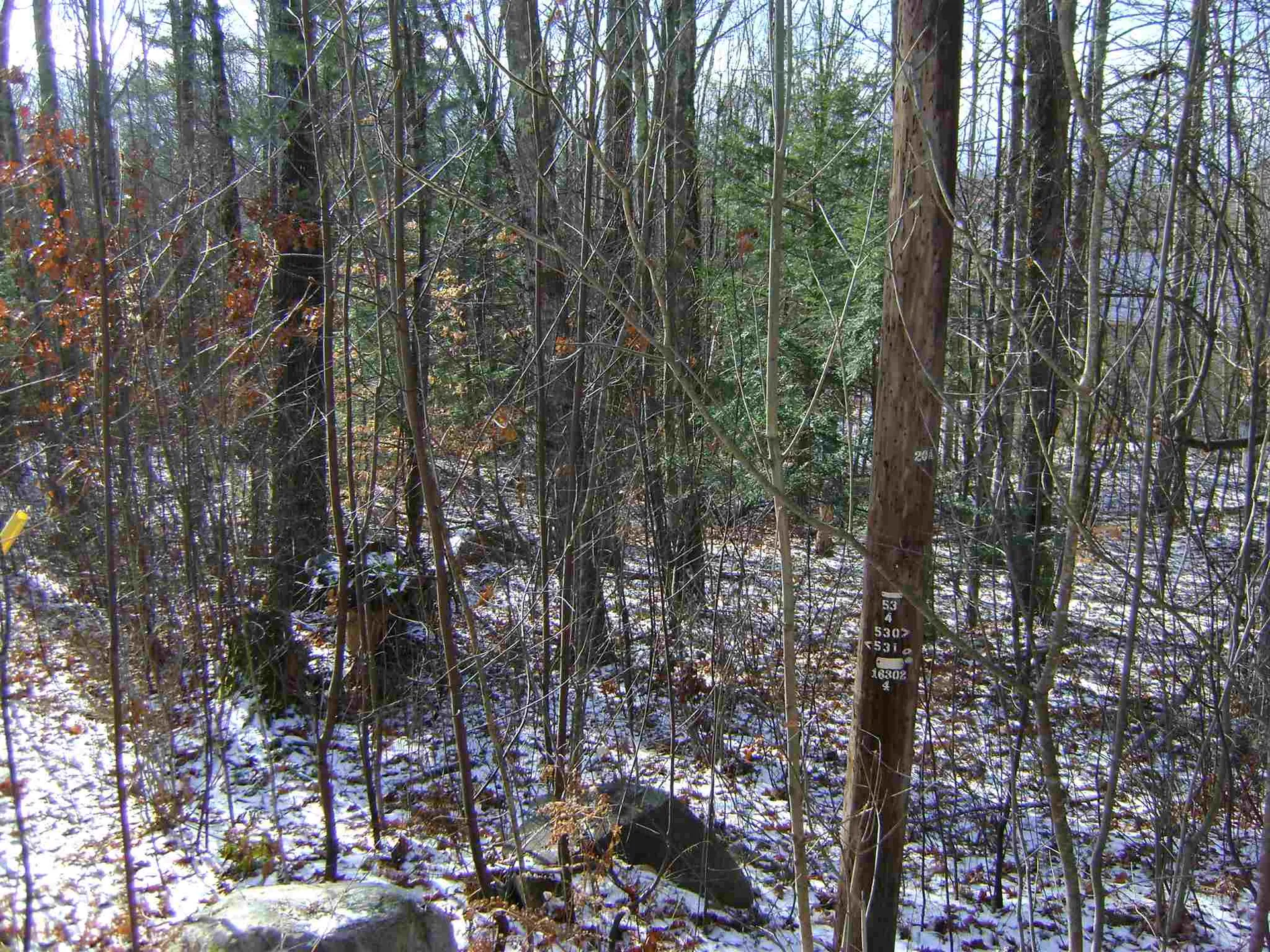 00 Oberdorf Street Moultonborough NH 03254