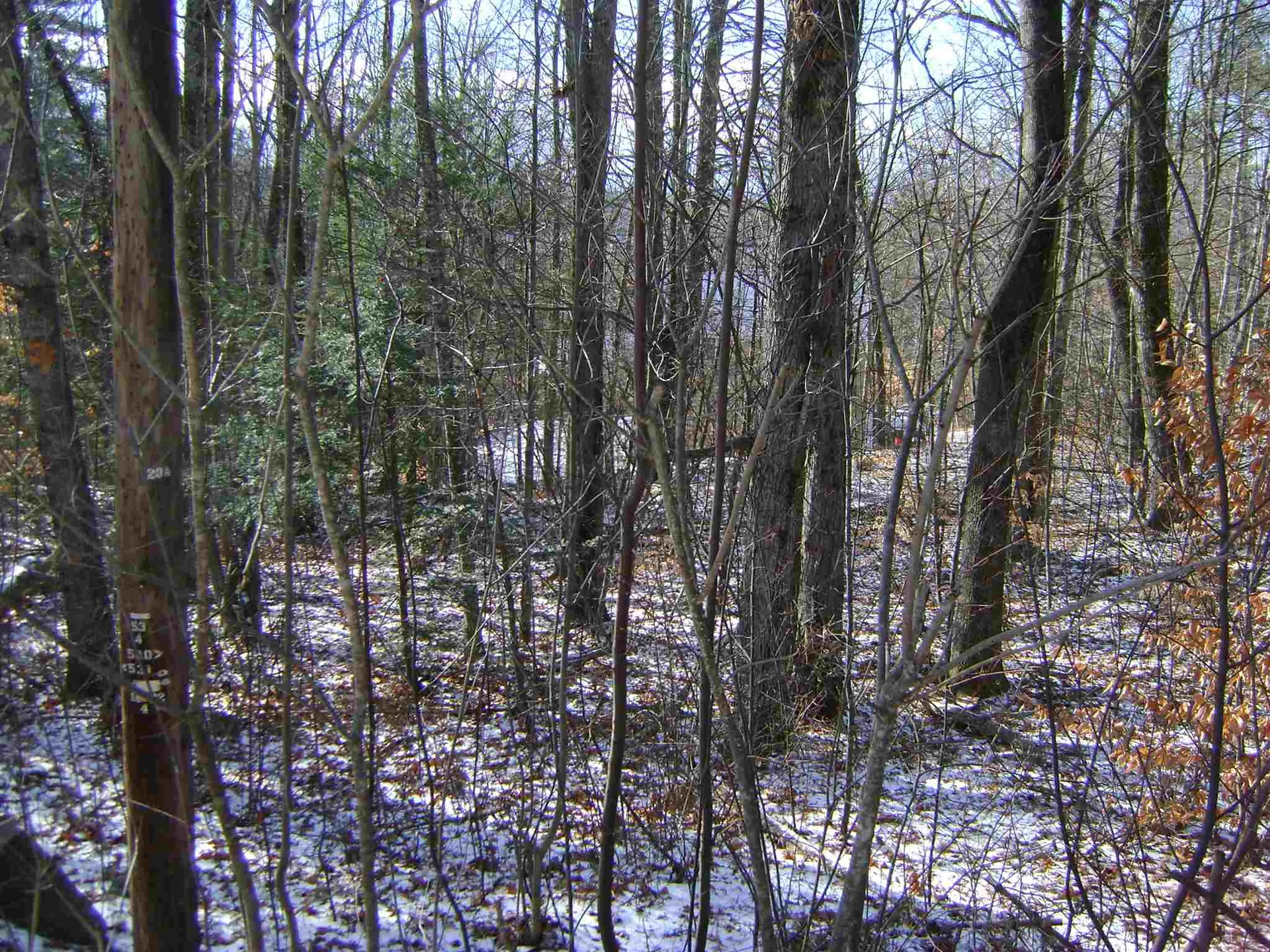 00 Oberdorf Street Moultonborough NH 03254