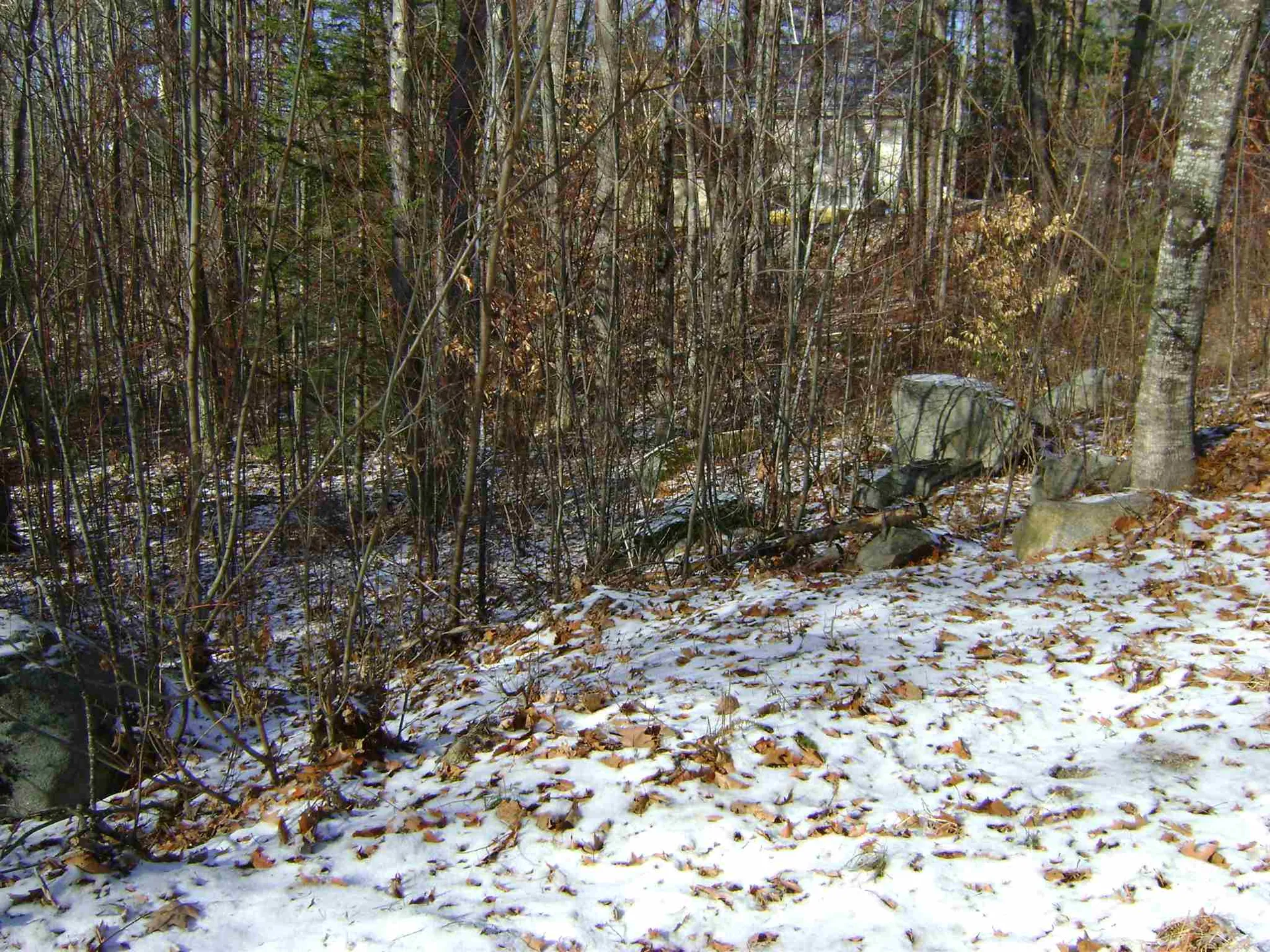 00 Oberdorf Street Moultonborough NH 03254