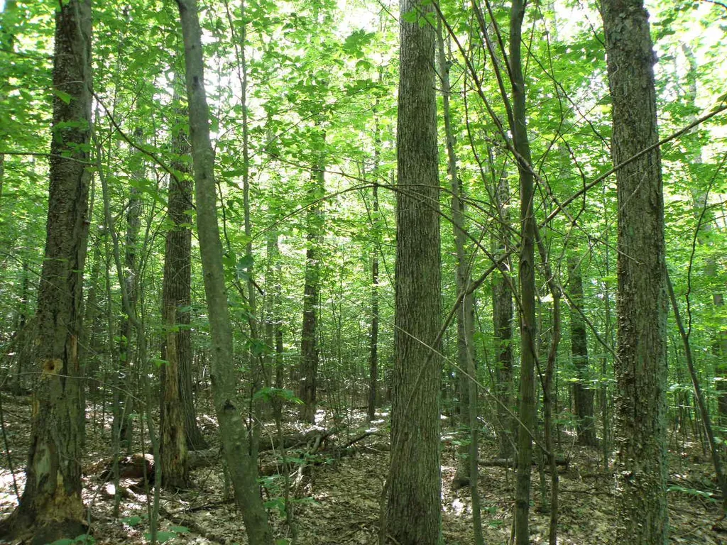 0 Van Cortland Road Brandon VT 05733