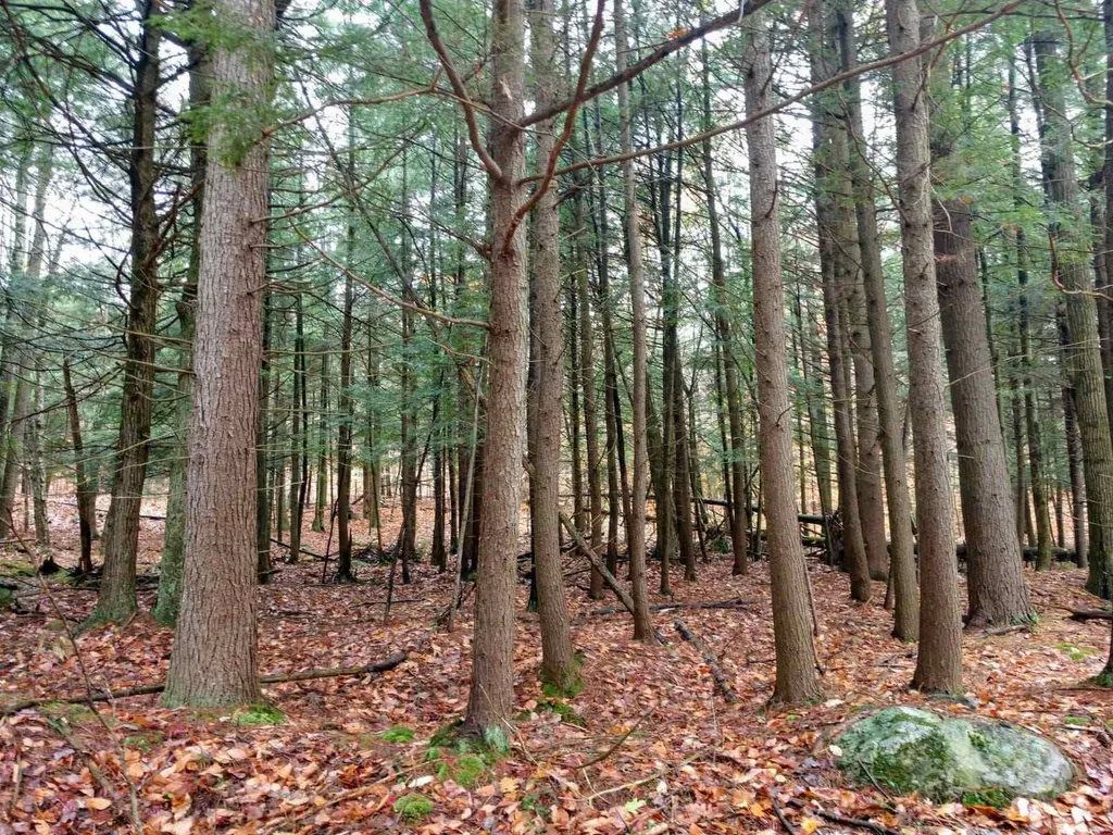 0 Van Cortland Road Brandon VT 05733