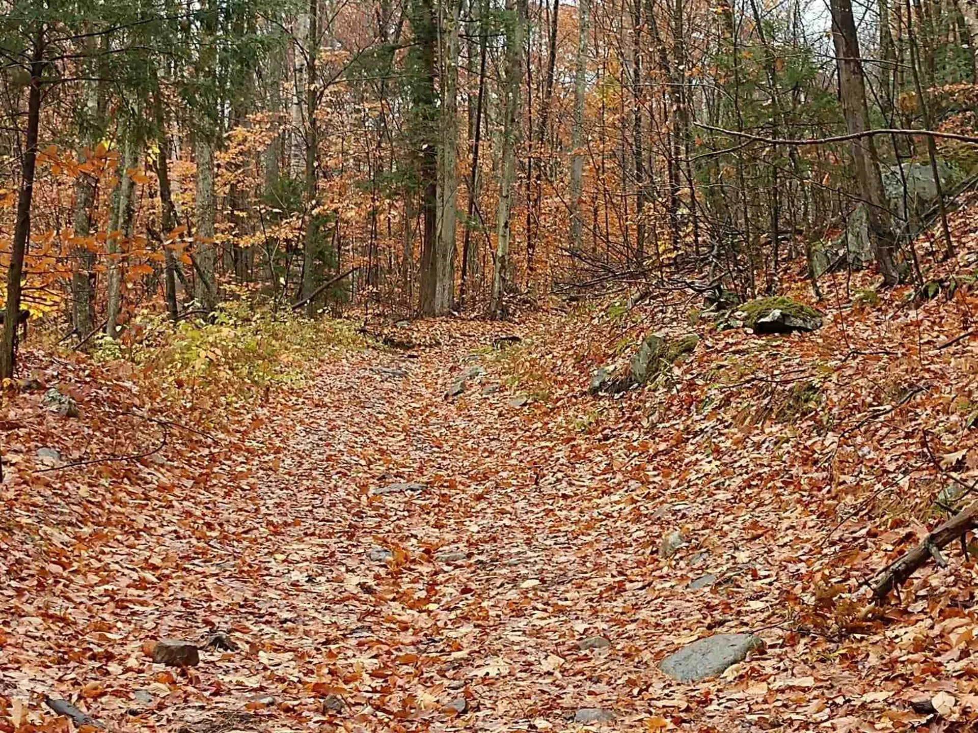 0 Van Cortland Road Brandon VT 05733