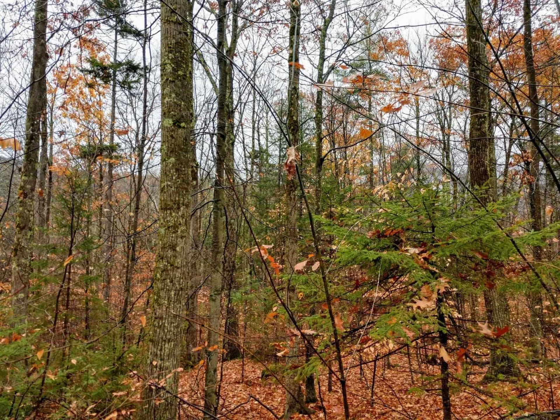 0 Van Cortland Road Brandon VT 05733
