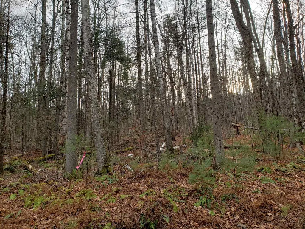 Lot 156 Deerfield Drive Haverhill NH 03785