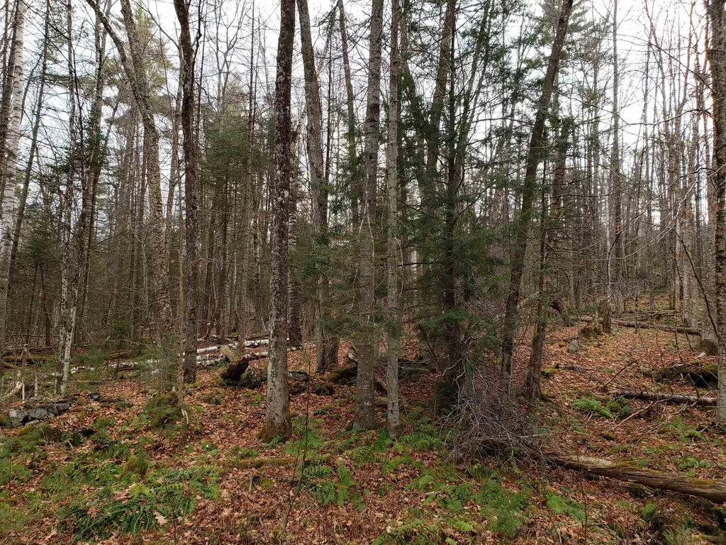 Lot 156 Deerfield Drive Haverhill NH 03785