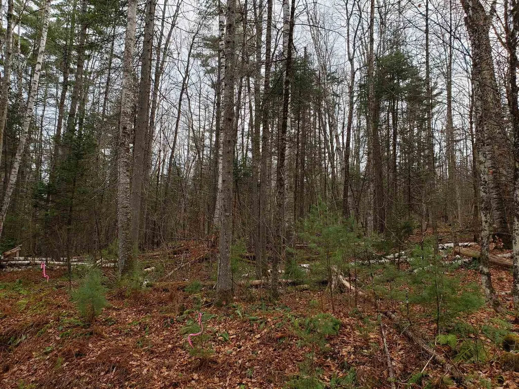 Lot 156 Deerfield Drive Haverhill NH 03785