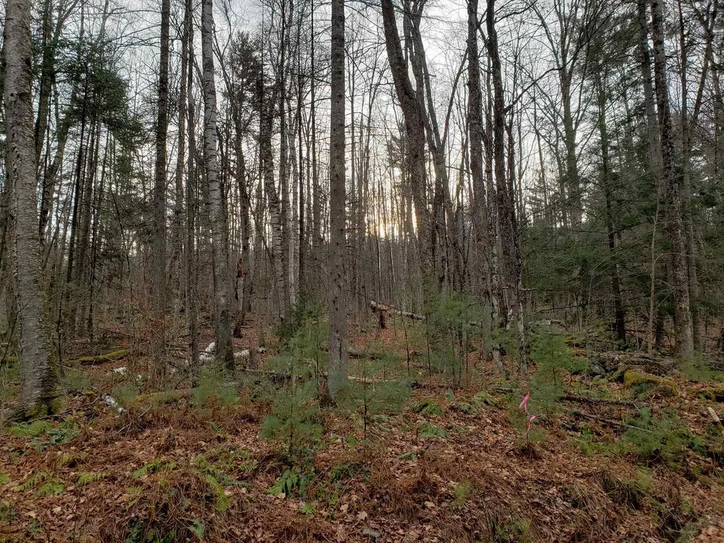 Lot 156 Deerfield Drive Haverhill NH 03785