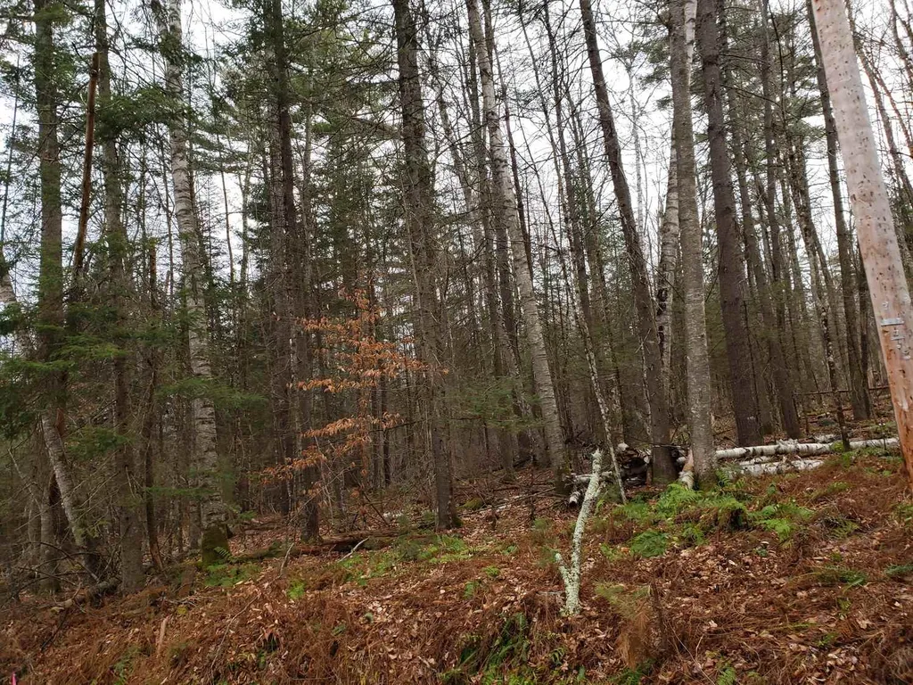 Lot 156 Deerfield Drive Haverhill NH 03785