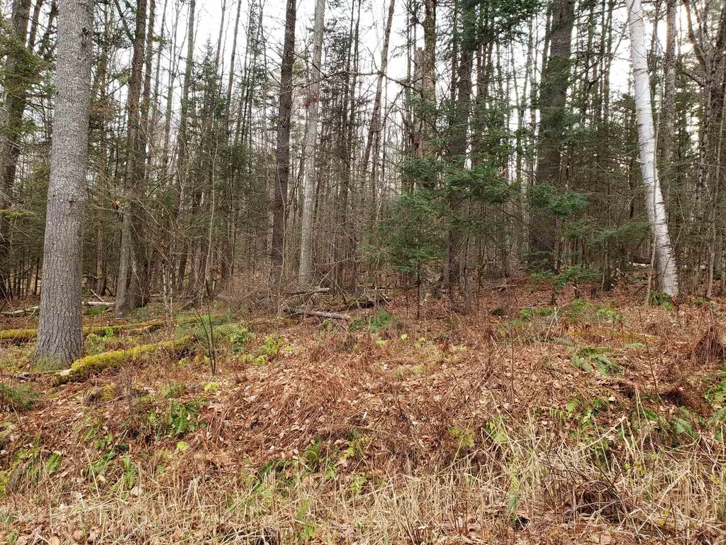 Lot 156 Deerfield Drive Haverhill NH 03785