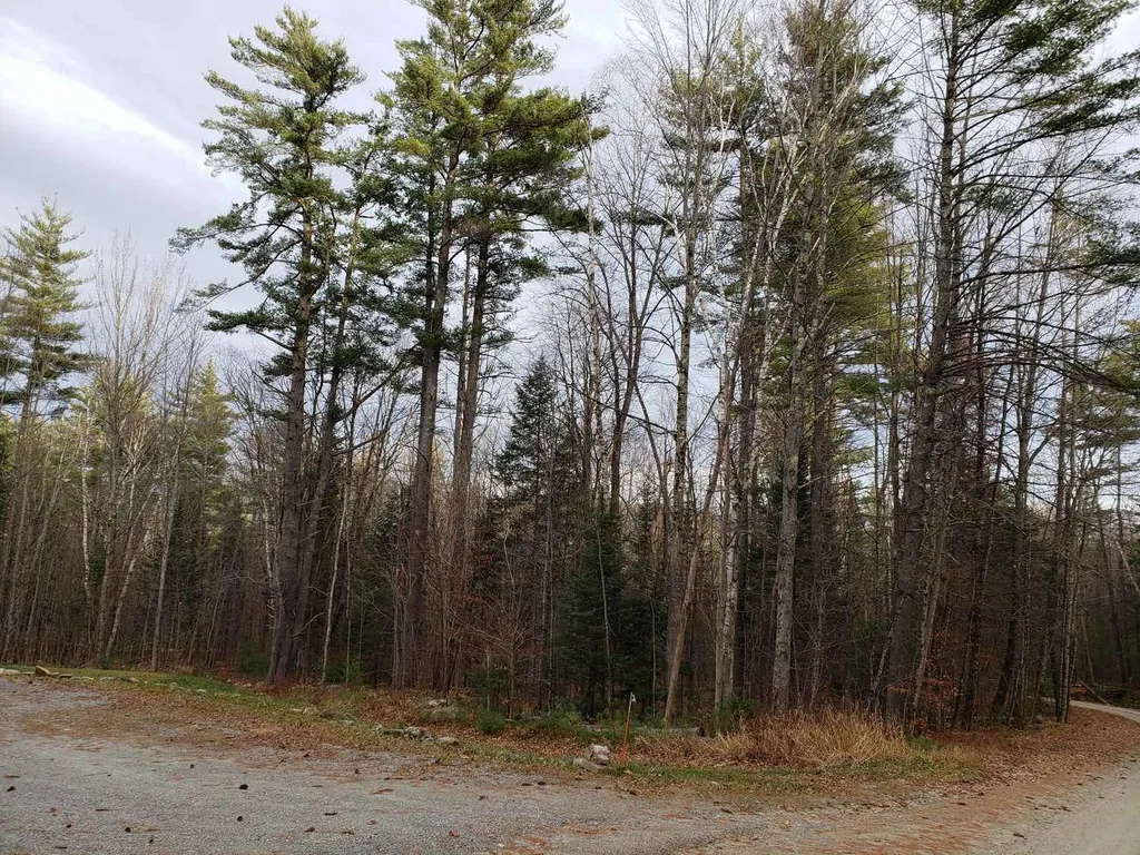 Lot 156 Deerfield Drive Haverhill NH 03785