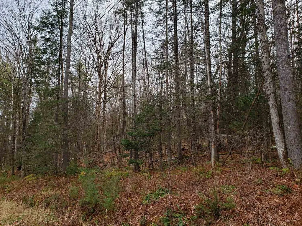 Lot 156 Deerfield Drive Haverhill NH 03785