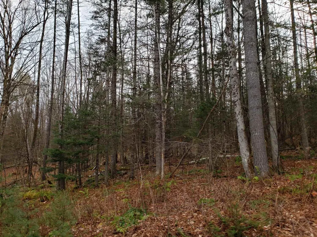 Lot 156 Deerfield Drive Haverhill NH 03785